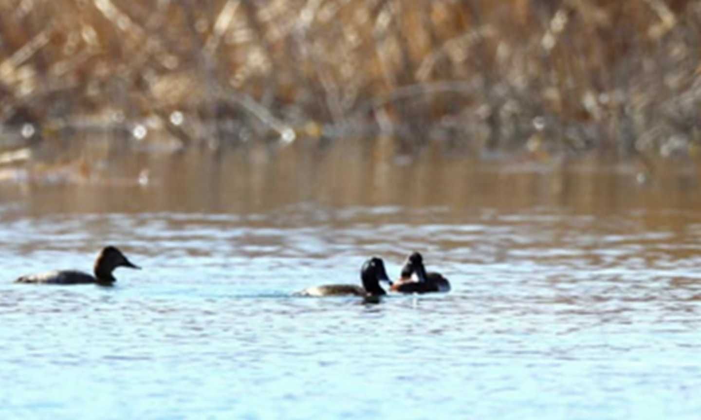 thumbnail.33501093-bddc-4771-be12-04e8e167dea71708677222741