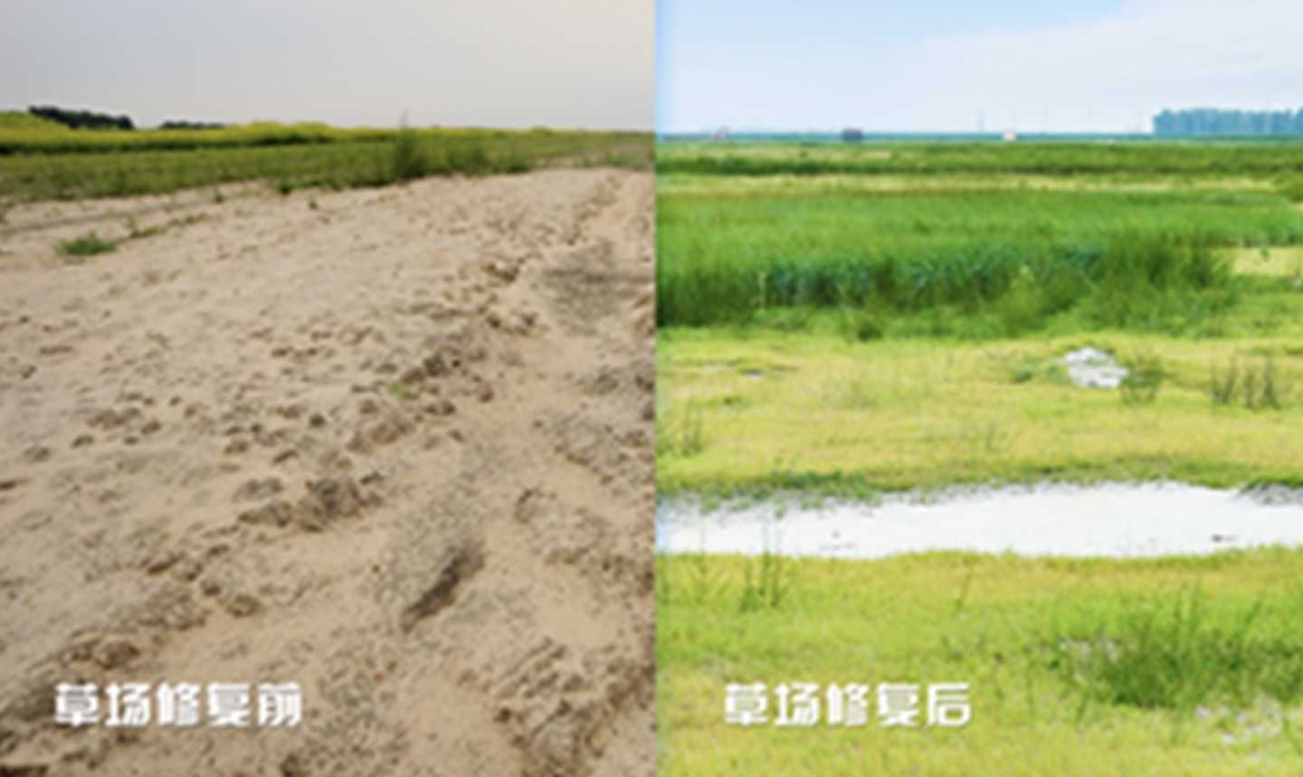 thumbnail.4dda10d0-cde5-4cac-afab-a382f55829a01708677254037