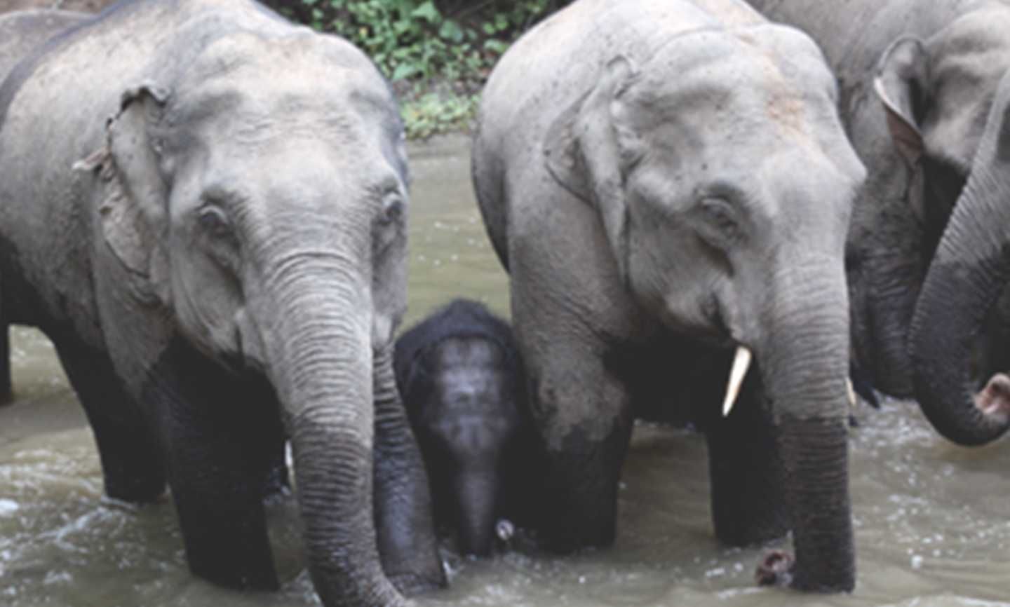 thumbnail.c2b2f3c6-cdf9-4b1d-befb-bc0bd1789b3d1708677235848