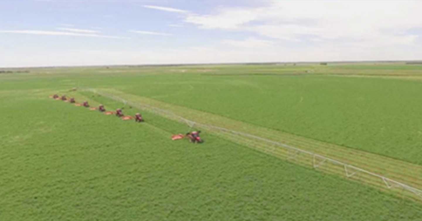 thumbnail.fb2d69fa-cbeb-401f-8b90-be78087b865d1708677293812