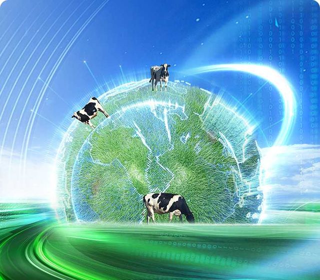 thumbnail.e1bac0dc-fa5a-4ee8-96f1-69f785c3c5701709652576845