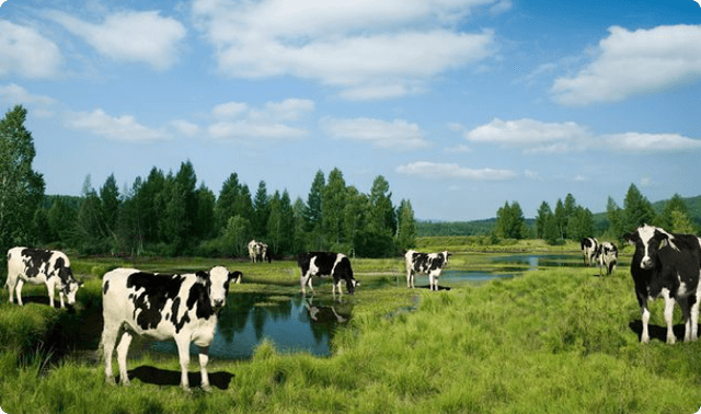 55969817-ae0a-4efe-b3b6-89365ac3af651673184289314