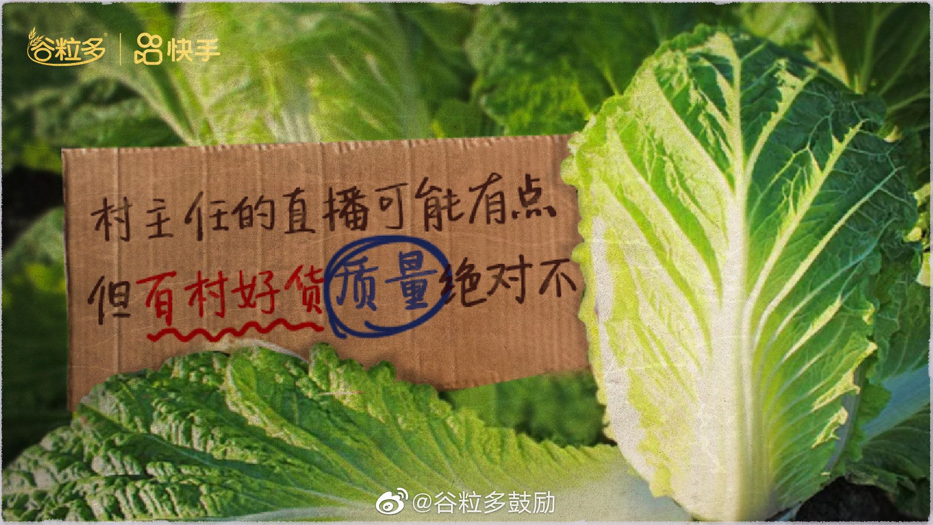 989e1005-bbb4-4130-b289-eea7a74b5f7d1673507185519