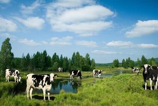 da6caf15-90c8-4cdd-bfd3-74339f9d3a261680788404474