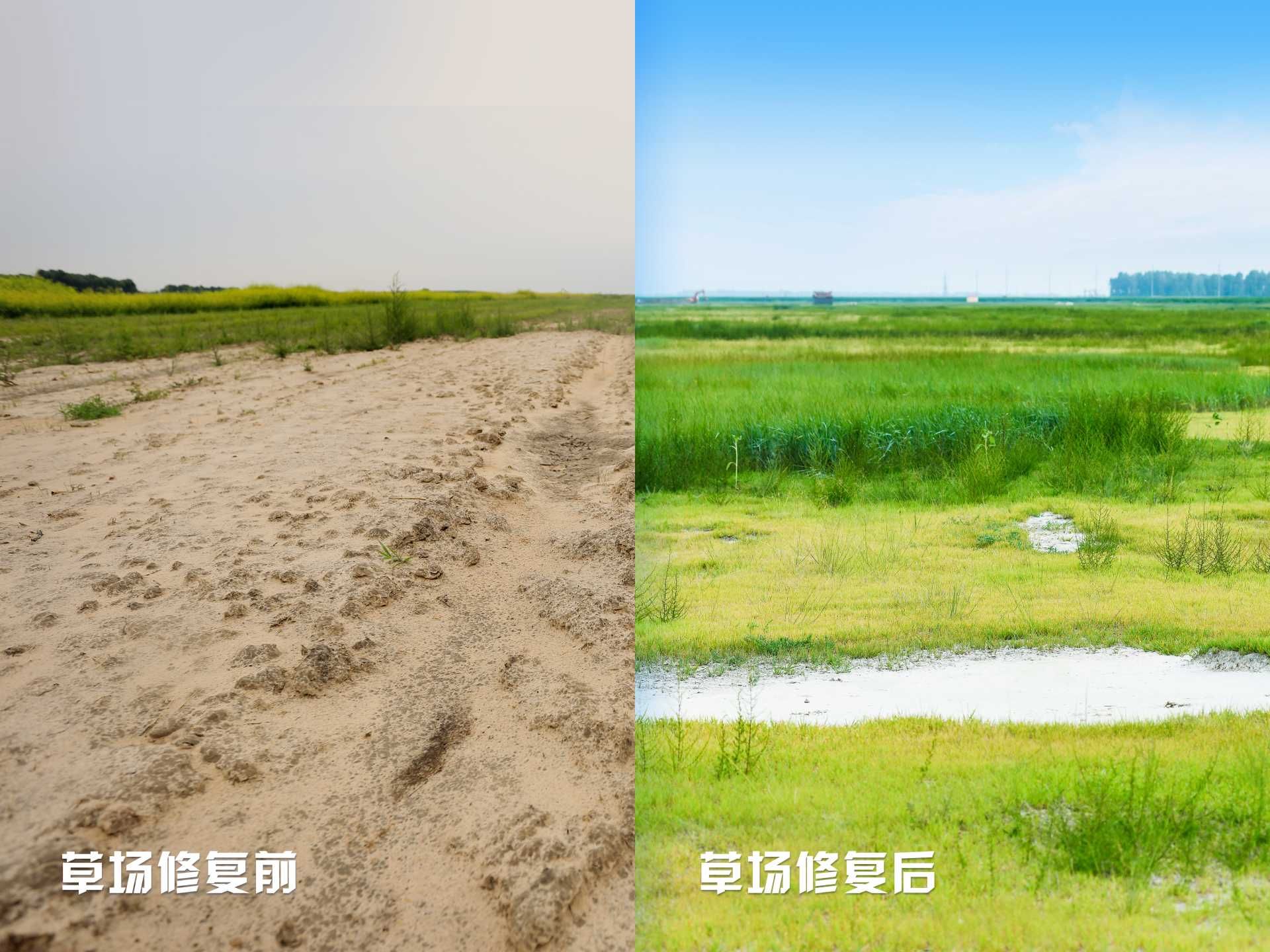 thumbnail.74932297-ced6-4041-a525-ceaabc3f324a1685587618402