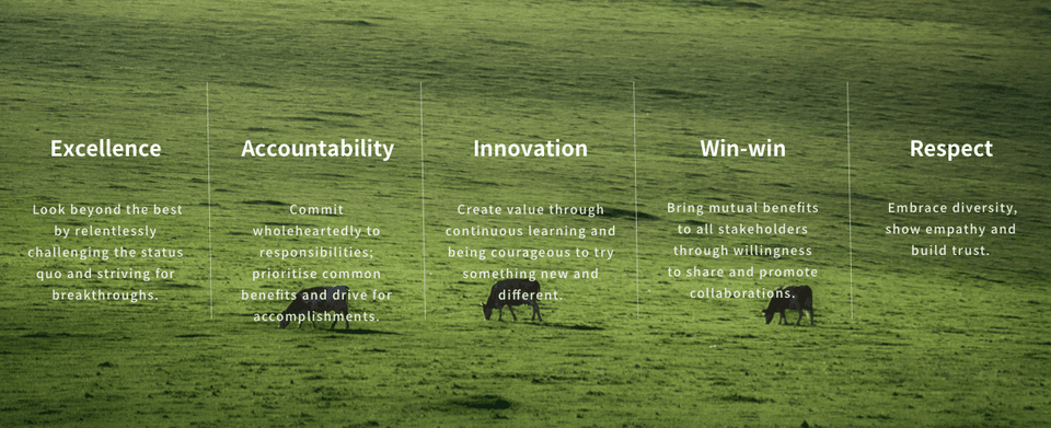 338496d4-d424-4db6-b133-49ed8a007f3d1691650402087