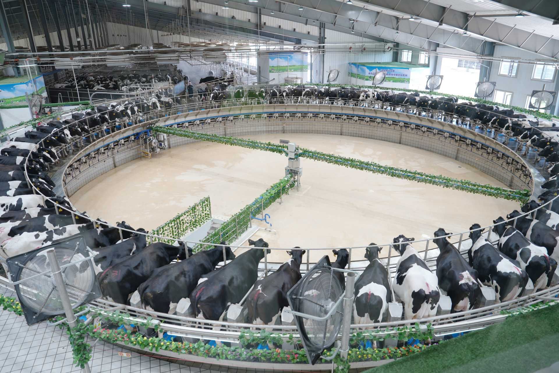 thumbnail.2629179c-2fea-42fb-a786-a23316b40c081691634288161