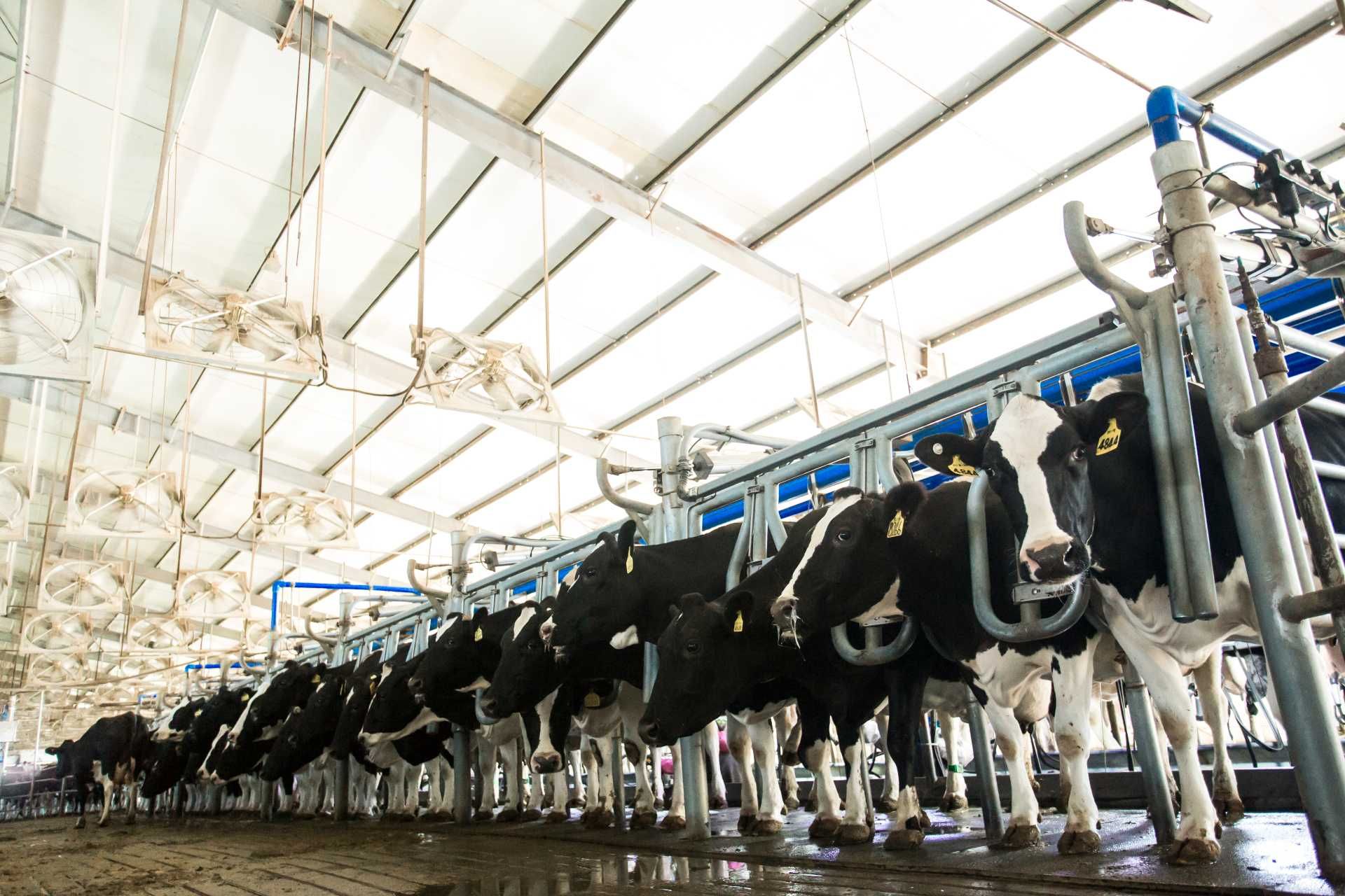 thumbnail.76157624-7ddc-46f3-8259-fa6a382b4c3b1697613047690