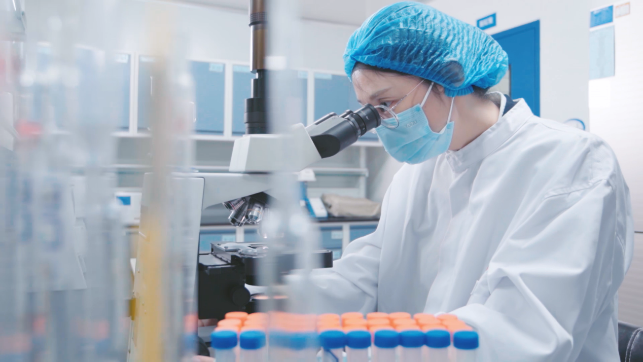 b772c1c3-4005-4f84-9496-593ac721f4c71756999876988